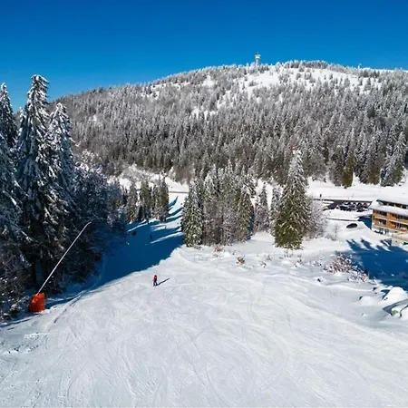 Haus Wiesenquelle - 10 